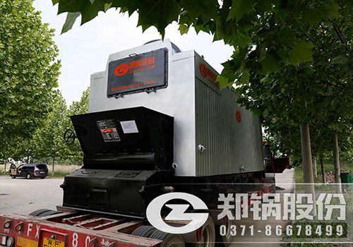 DZL燃煤鍋爐1