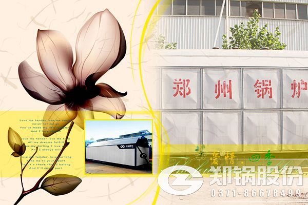 供暖用10噸燃煤熱水鍋爐價格和脫硫除塵設備價格多少錢？.jpg