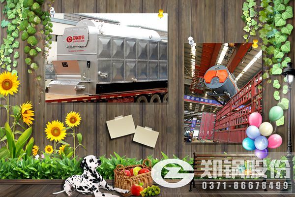 2萬平溫室大棚花房花卉供暖用2噸或3噸的清潔燃料鍋爐.jpg