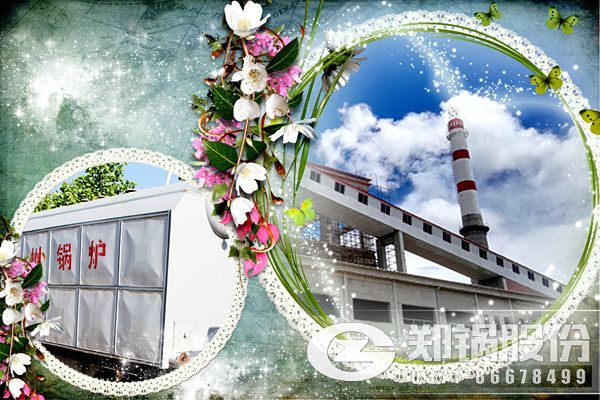 35噸-75噸的鏈條爐或循環流化床鍋爐詳細報價帶發電機組.jpg