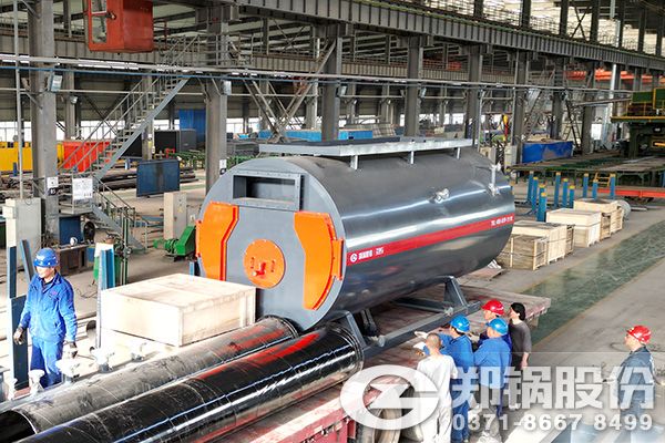 哈薩克斯坦建材廠WNS6-1.6-YQ