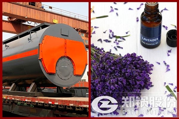 生產薰衣草精油用2噸燃油蒸汽鍋爐.jpg