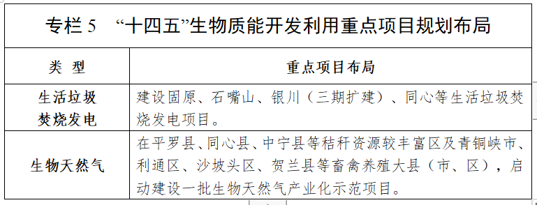 十四五生物質能開發利用重點項目規劃布局.png