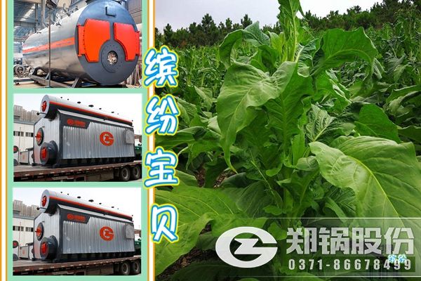 生產煙葉用15噸燃氣蒸汽鍋爐價格和型號.jpg