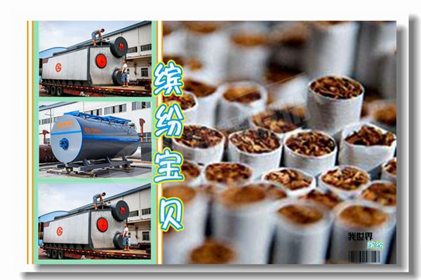 鄭州鍋爐股份有限公司燒顆粒的鍋爐