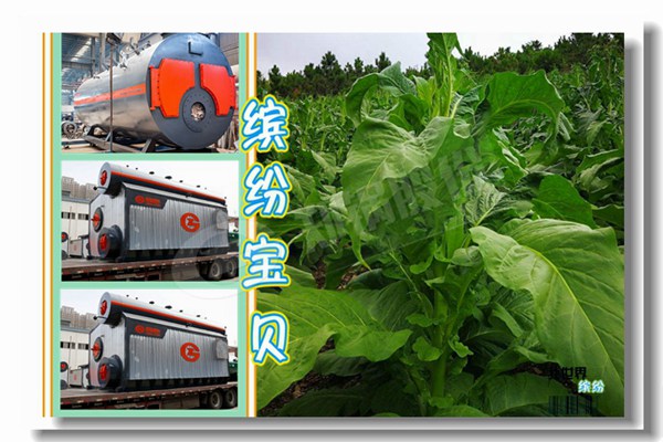 wns2一1.25一yq型鍋爐主要參數