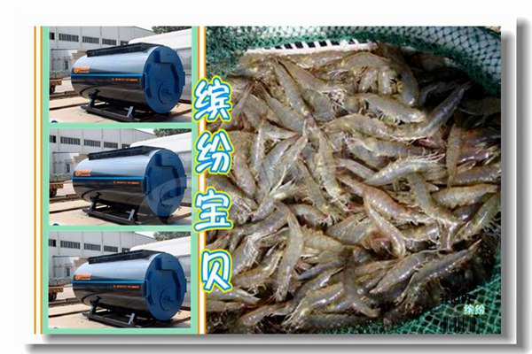 周口市生物質顆粒鍋爐